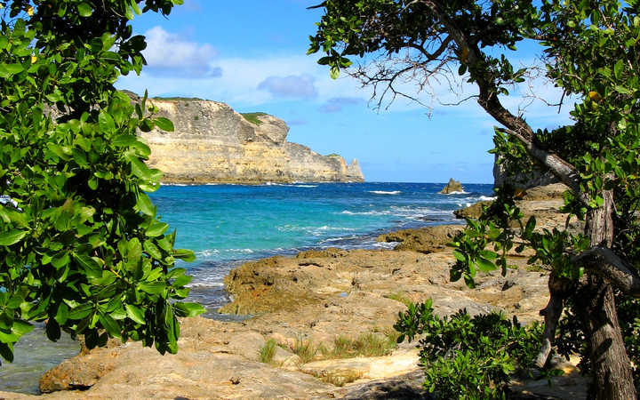 Scalo Saint Kitts
